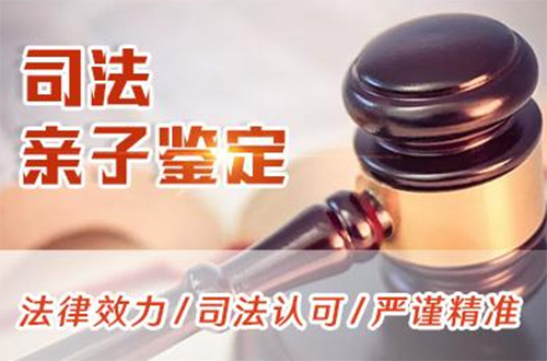 南京司法DNA鉴定价格,南京司法亲子鉴定需要怎么办理